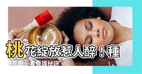 種桃花樹